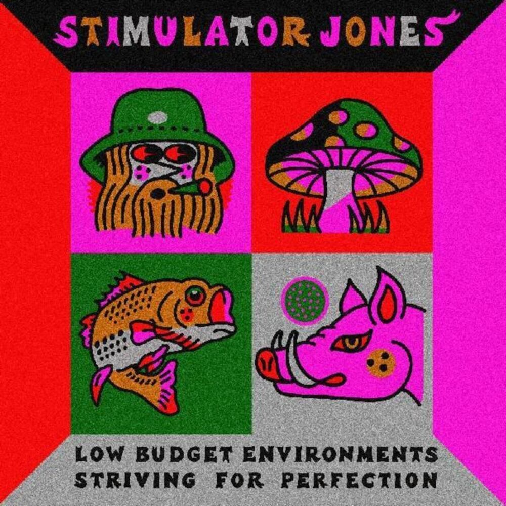 Stimulator Jones - Low Budget Environments Striving For Perfection  LP LP